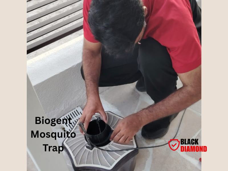 Read more about the article How Advanced Mosquito Traps Are Changing Mosquito Control in Abu Dhabi, UAE