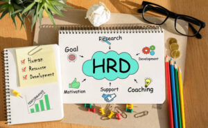 Read more about the article How CIPD Supports Professional Development in HR