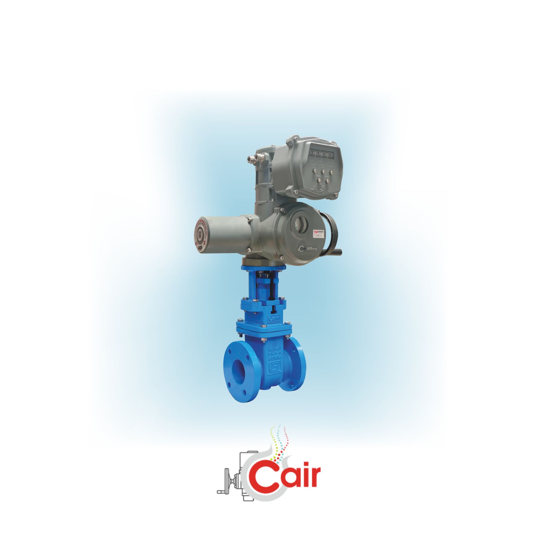 You are currently viewing Sluice Valve Manufacturer in India