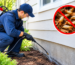 Termite Control